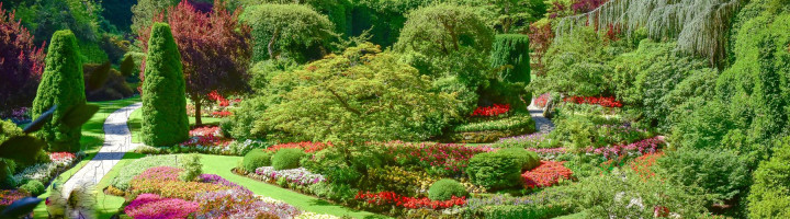 DU LỊCH BỜ TÂY CANADA |  VANCOUVER – WHISTLER – VICTORIA | 7 Ngày 6 Đêm