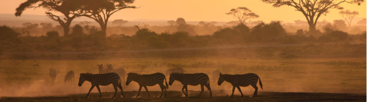 DU LỊCH NAM PHI | OHANNESBURG – PRETORIA – SAFARI GAME LODGE – HERMANUS – MŨI HẢO VỌNG – NÚI BÀN  –  CAPE TOWN | 09 NGÀY 07 ĐÊM